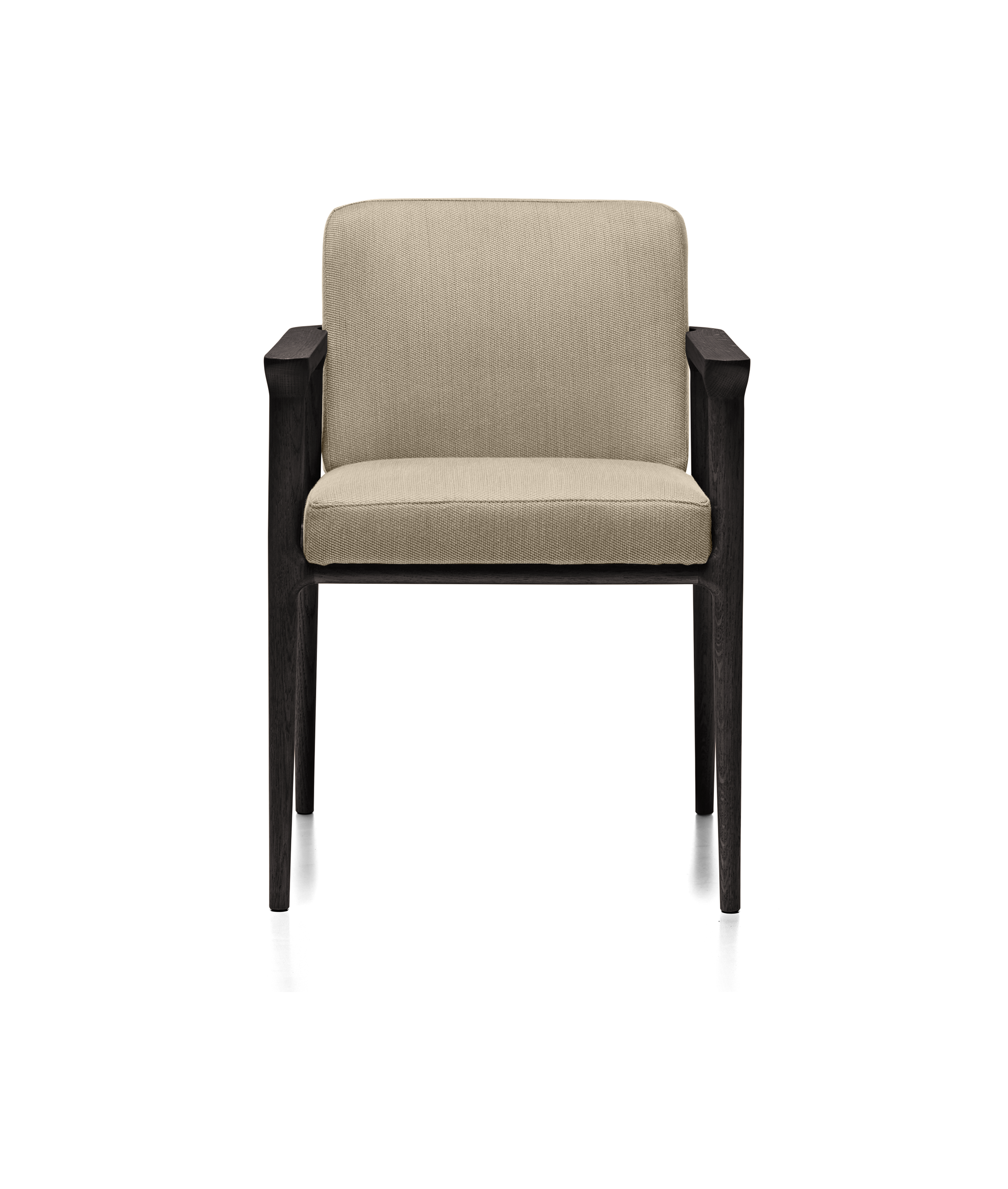 Zio Dining Chair - Moooi